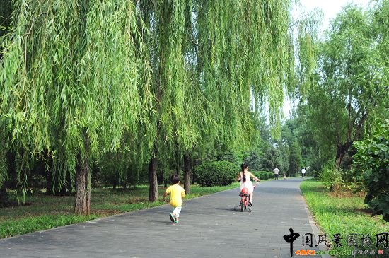 園內主路