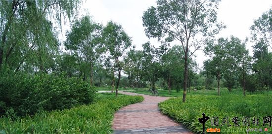 二級園路植物景觀