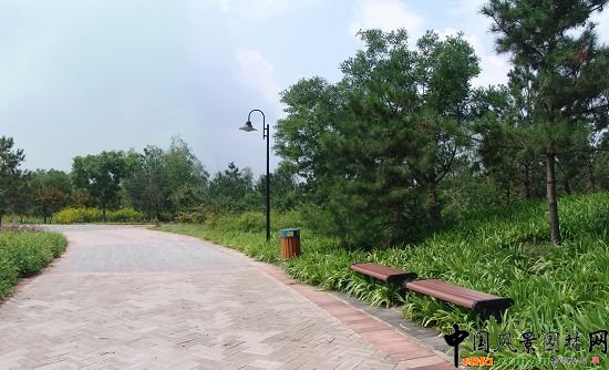 一級園路植物景觀