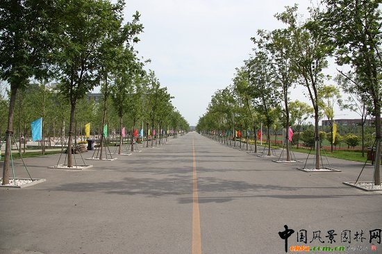 主路兩側(cè)