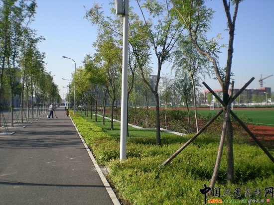 主路兩側(cè)