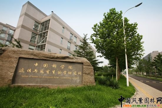 中國科學院遺傳與發育生物學研究所