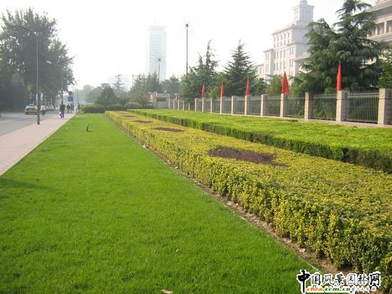 2008(hu)Ʒ֮LּLGظ