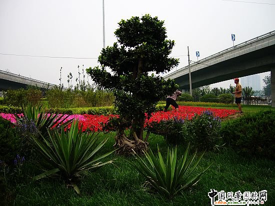 ꖅ^(q)20072468cc؅^(q)h(hun)Ŀͨݺ