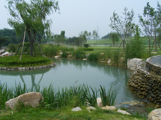 2008|֮ӞߠG