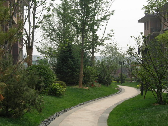 2008社會(huì)精品工程之萬城華府1?、2?地園林景觀工程