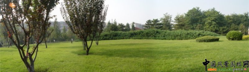 譚馨作品-回龍公園