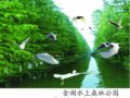 國家園林縣城_國家園林城鎮