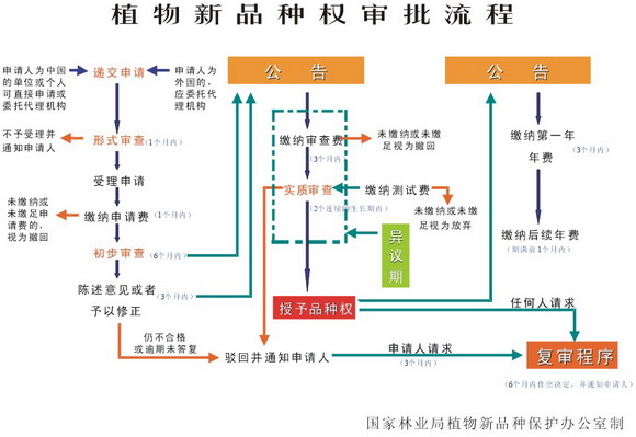 植物新品種權審批流程