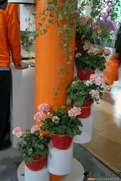 第12屆花卉園藝展上的美麗花草