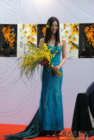 高清組圖：第12屆花卉園藝展上的美麗花草