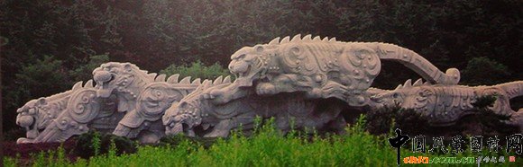 群虎