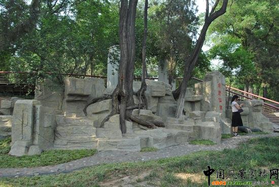 唐山鳳凰山公園實景: