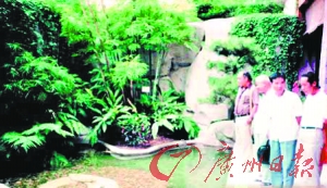 文化公園名石名樹(shù)因食肆毀于一旦
