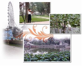 圖文：城市興起公園文化 天津綠色和諧的公園文化