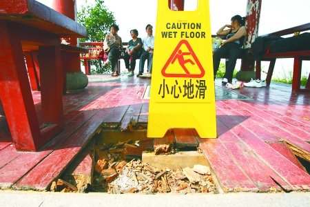 免費(fèi)公園現(xiàn)“黃金周后遺癥” 八成要補(bǔ)栽植物
