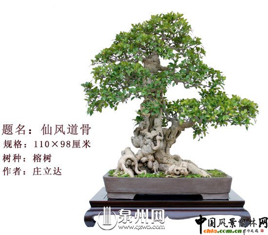 Ȫ݃辰@Ї辰(chung)ِ