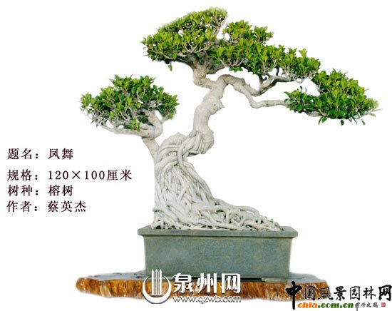 Ȫ݃辰@Ї辰(chung)ِ