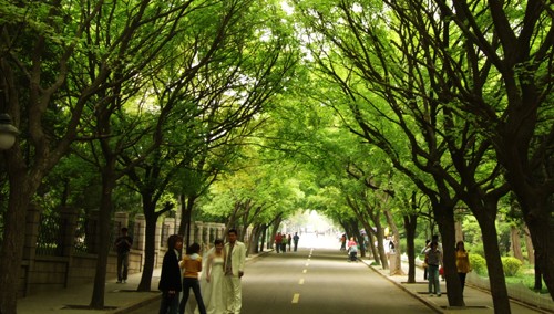 oa(chung)B(ti)@ֳһ(xing)Ӳָ(bio)