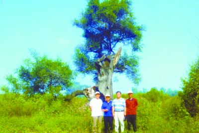 (yng)500qܘKڱס