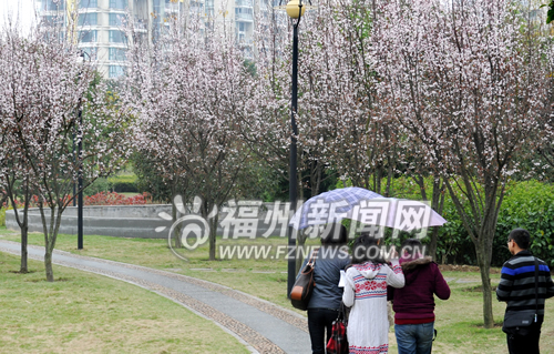風(fēng)景園林 福州 綠化 風(fēng)景