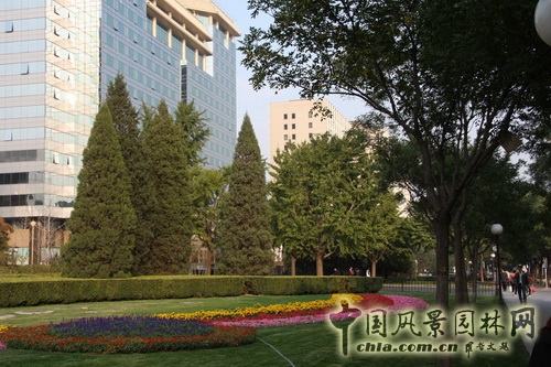 張新宇 景觀設(shè)計 長安街 北京園博會設(shè)計師廣場 中國風景園林網(wǎng)