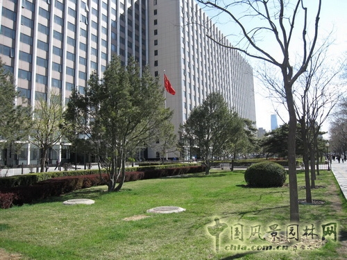 張新宇 景觀設(shè)計 長安街 北京園博會設(shè)計師廣場 中國風景園林網(wǎng)