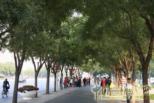 張新宇 景觀設(shè)計 長安街 北京園博會設(shè)計師廣場 中國風景園林網(wǎng)