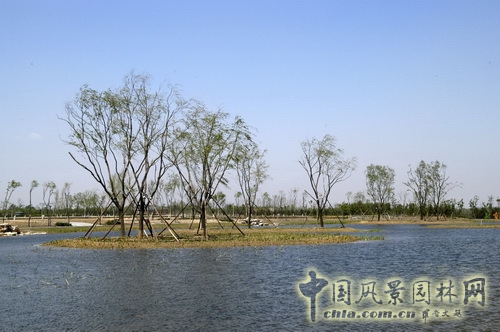 張新宇 大興新城濱河森林公園  規(guī)劃設(shè)計(jì) 設(shè)計(jì)師廣場 中國風(fēng)景園林網(wǎng)