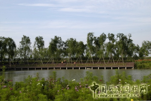 張新宇 大興新城濱河森林公園  規(guī)劃設(shè)計(jì) 設(shè)計(jì)師廣場 中國風(fēng)景園林網(wǎng)