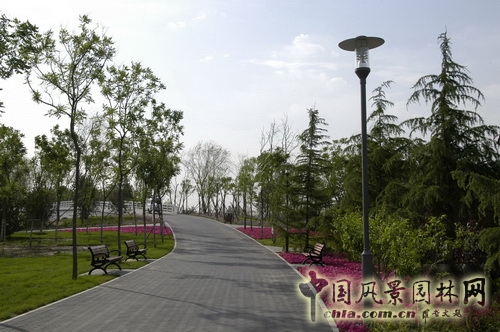張新宇 大興新城濱河森林公園  規(guī)劃設(shè)計(jì) 設(shè)計(jì)師廣場 中國風(fēng)景園林網(wǎng)