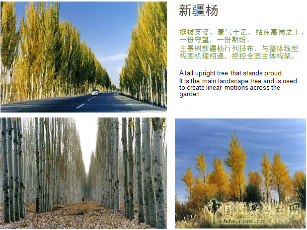 北京園博會設(shè)計(jì)師廣場 獲獎作品 流動的窗 顧志凌 景觀設(shè)計(jì) 中國風(fēng)景園林網(wǎng)