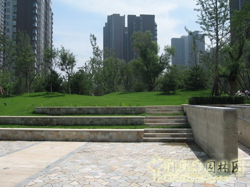 郭明 融科橄欖城 景觀設(shè)計(jì) 景觀師 中國(guó)風(fēng)景園林網(wǎng)
