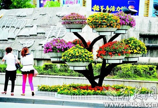 宜昌市 立體式 綠化盆景 市民贊賞 中國風(fēng)景園林網(wǎng) 