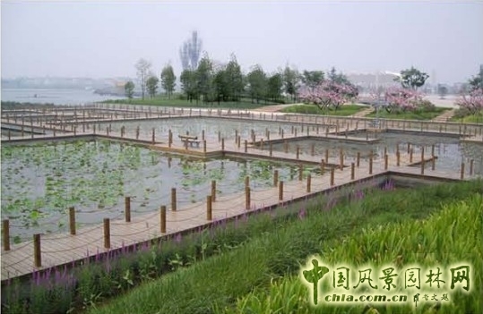 翟俊 景觀設(shè)計 七星湖公園