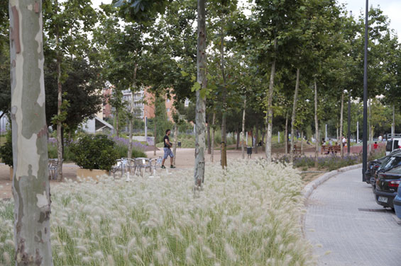 西班牙雷烏斯甘地公園實(shí)景展示 公園綠地 世界園林 中國風(fēng)景園林網(wǎng)