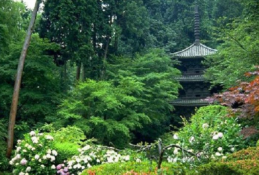 日本 景觀 庭院 設計 中國風景園林網(wǎng)