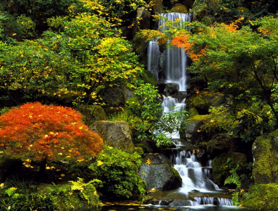 日本 景觀 庭院 設(shè)計(jì) 特色 水景 中國(guó)風(fēng)景園林網(wǎng)