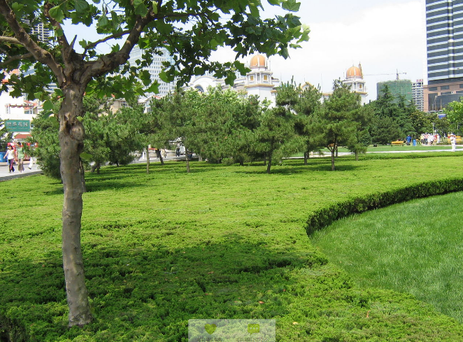 魯班獎  景觀 展示 青島 五四廣場 中國風(fēng)景園林網(wǎng)