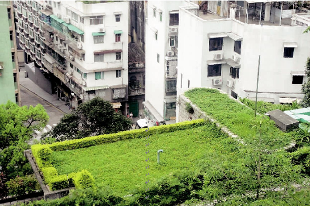 城市 屋頂 借綠 建筑 綠化 中國風(fēng)景園林網(wǎng)