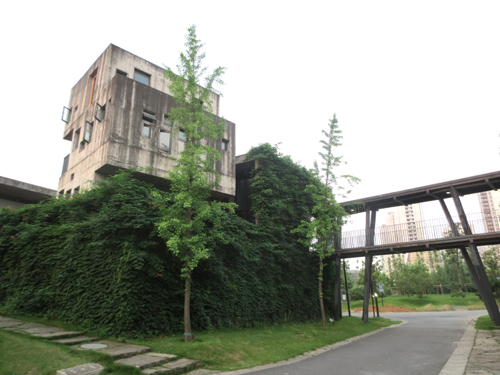 中國美術學院 王澍 綠色 建筑 設計 屋頂 綠化 中國風景園林網