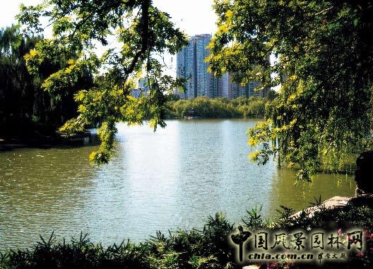 劉秀晨 綠色的云  城市園林 規(guī)劃 設計 中國風景園林網(wǎng)