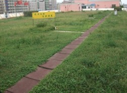 中國風(fēng)景園林網(wǎng) 國內(nèi)動態(tài)