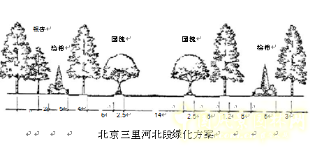 劉秀晨 綠色的云 北京 城市道路 綠化 中國風景園林網