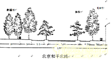 劉秀晨 綠色的云 北京 城市道路 綠化 中國風景園林網