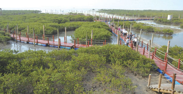 廣西 綠化 北海