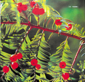 長(zhǎng)沙 植物 環(huán)境
