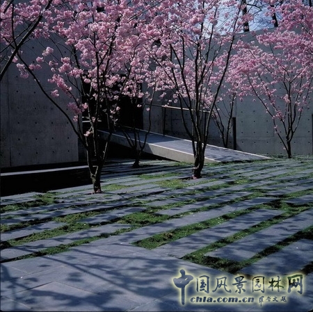 基金會景觀