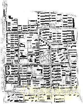 劉秀晨 綠色的云 古城 花園化建設(shè) 居住區(qū)綠化 中國風(fēng)景園林網(wǎng)