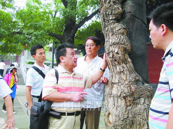 綠化 樹木復(fù)壯 滲水管透氣系統(tǒng)